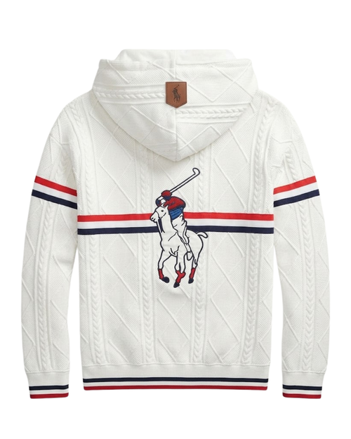 Polo Hoodie