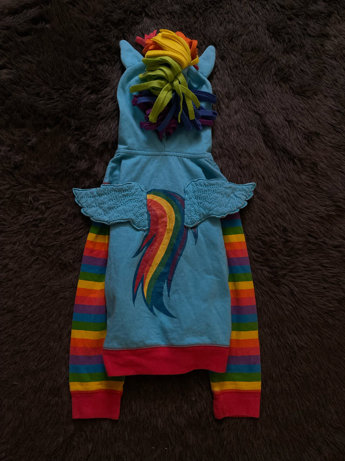 Rainbow Dash Hoodie