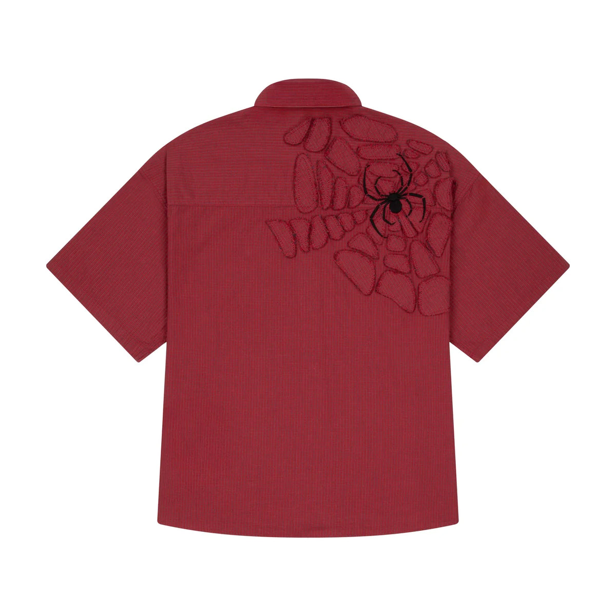 Spiderweb Collection
