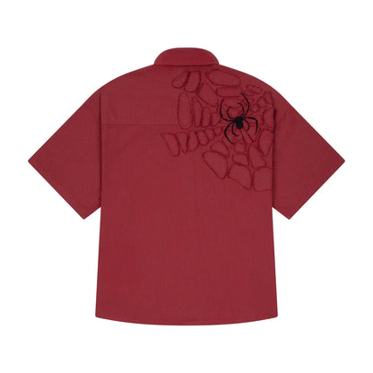 Spiderweb Collection