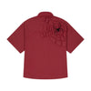 Spiderweb Collection