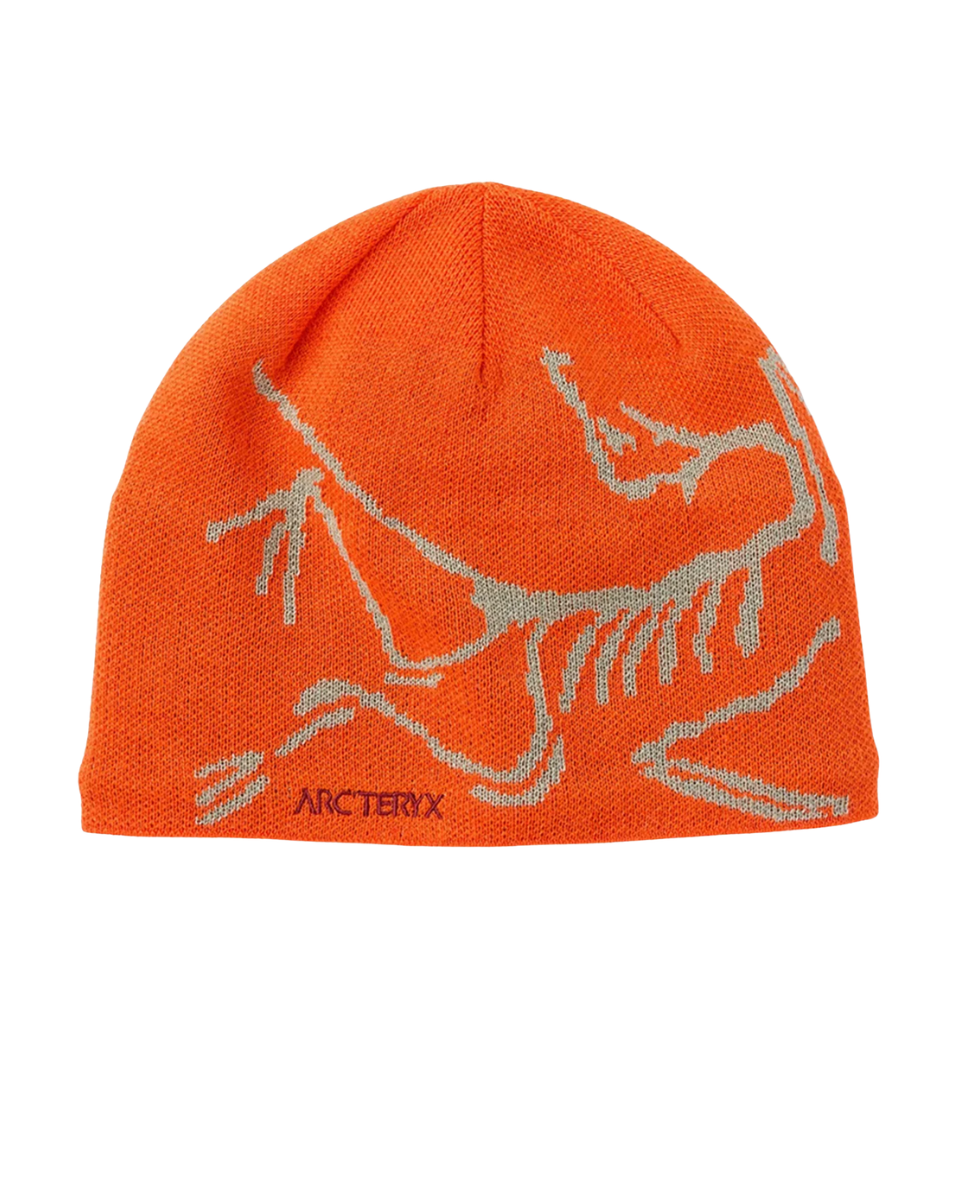 Arc Beanie