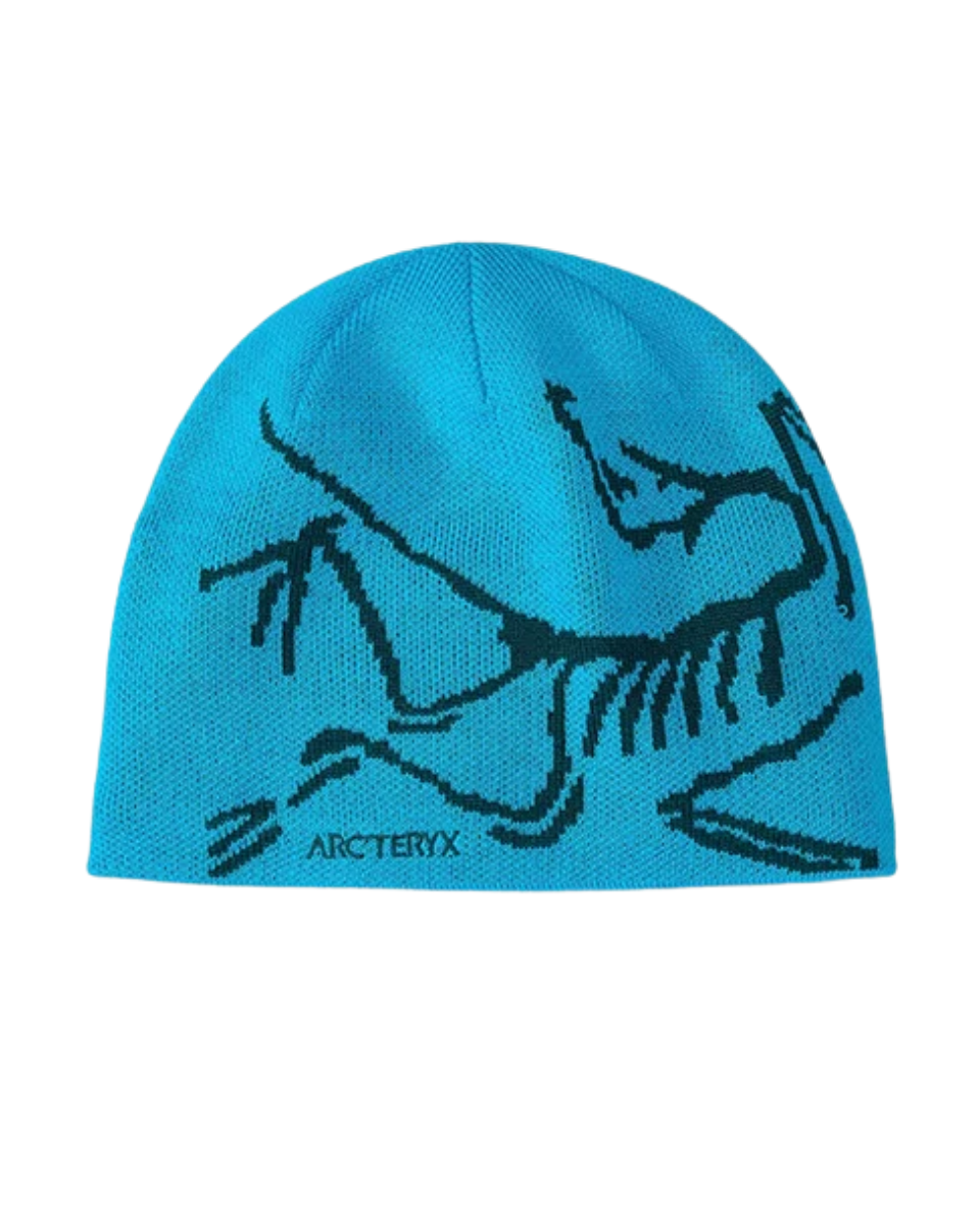 Arc Beanie