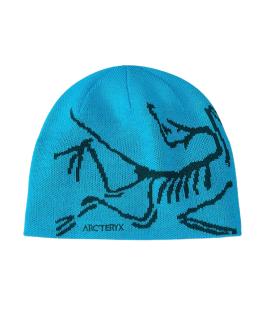Arc Beanie