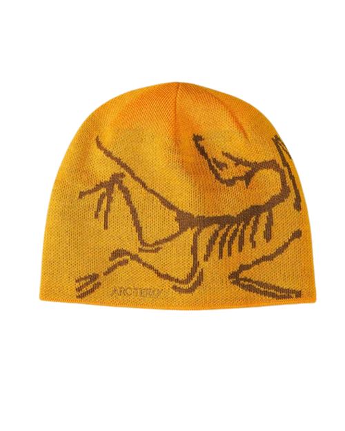 Arc Beanie