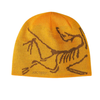 Arc Beanie