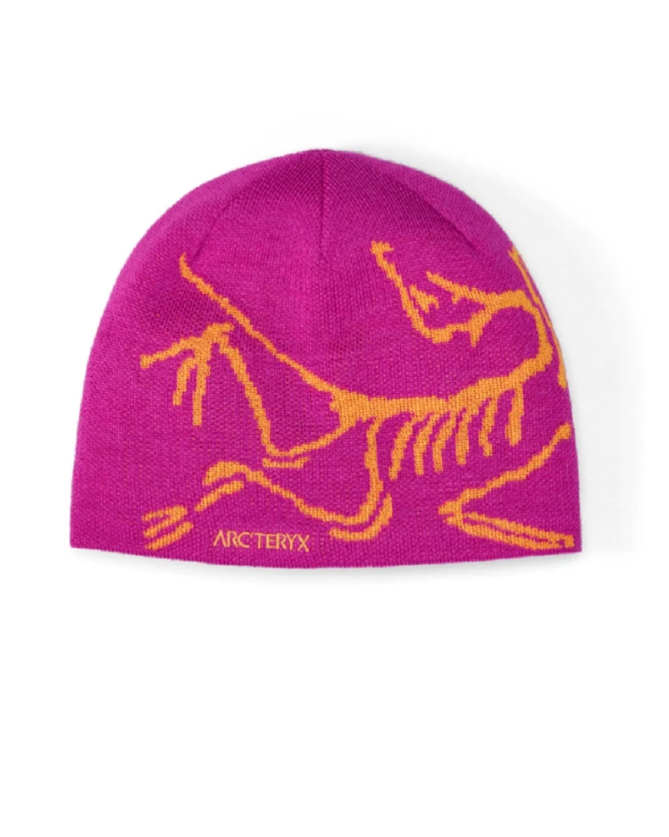 Arc Beanie