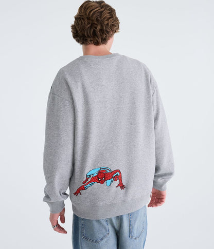Spider Graphic Collection