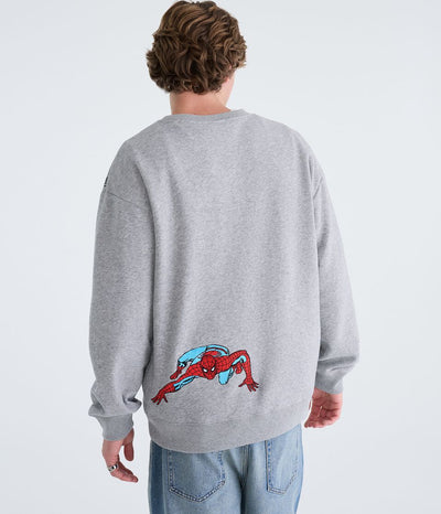 Spider Graphic Collection