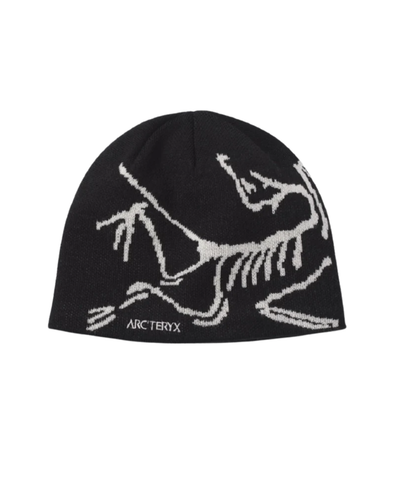 Arc Beanie