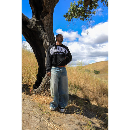 Glory Distressed Hoodie